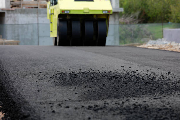 Best Residential Paver Driveway  in Dorothy, NJ