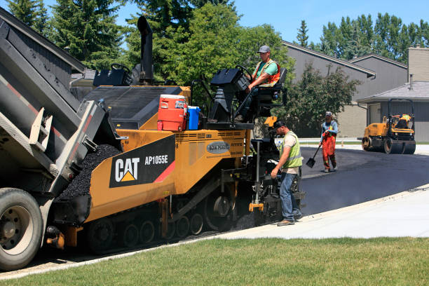 Best Driveway Repair Near Me  in Dorothy, NJ
